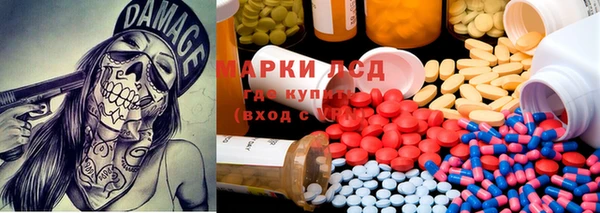 ГАЛЛЮЦИНОГЕННЫЕ ГРИБЫ Алексин